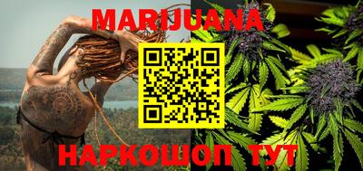 прущие грибы Железноводск