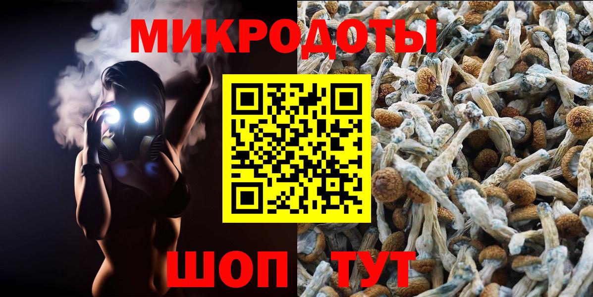 Галлюциногенные грибы GOLDEN TEACHER Елабуга