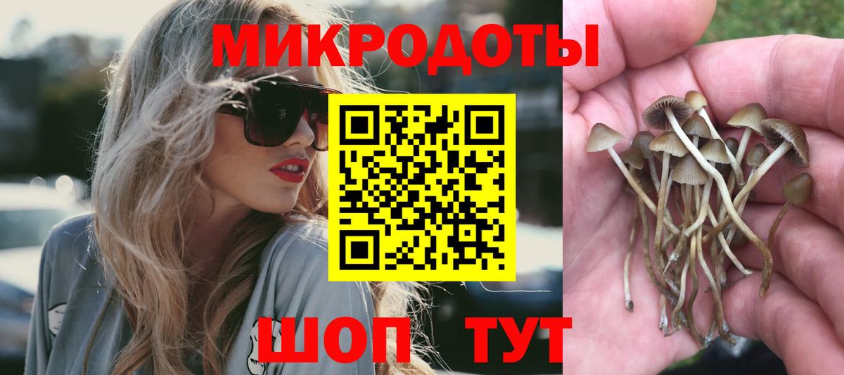 где купить наркотик  Вход с VPN  Елабуга  Галлюциногенные грибы Magic Shrooms 